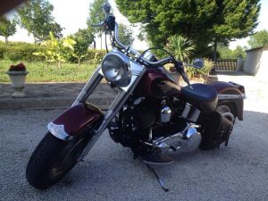 Sacoches Myleatherbikes Softail Fatboy (59)